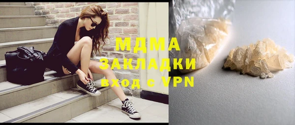 сатива Инта