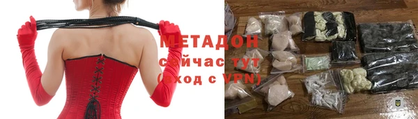 сатива Инта