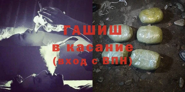 сатива Инта