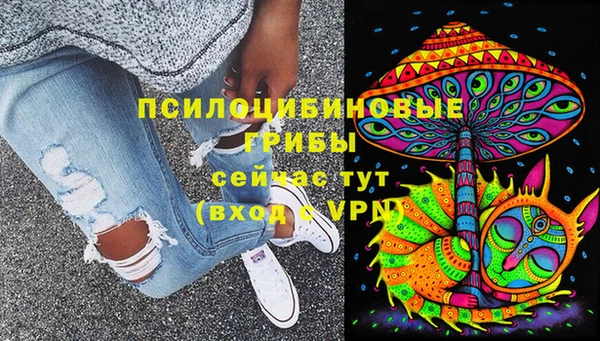 спайс Каменногорск
